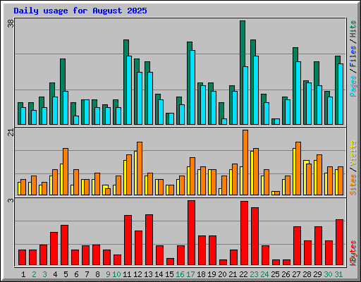 Daily usage for August 2025