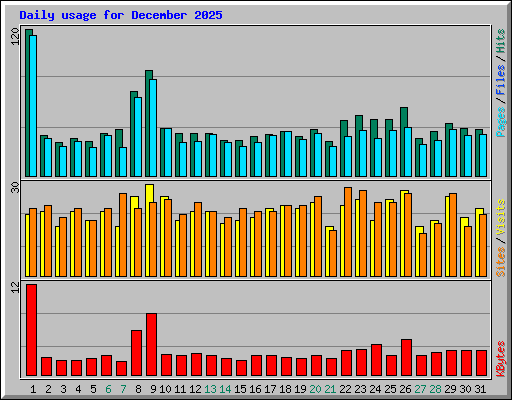 Daily usage for December 2025