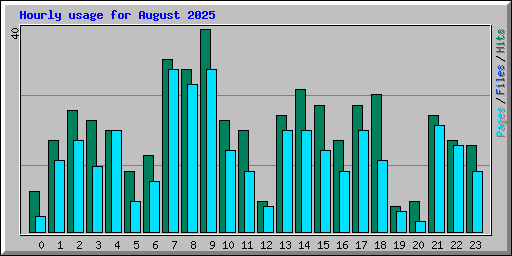 Hourly usage for August 2025