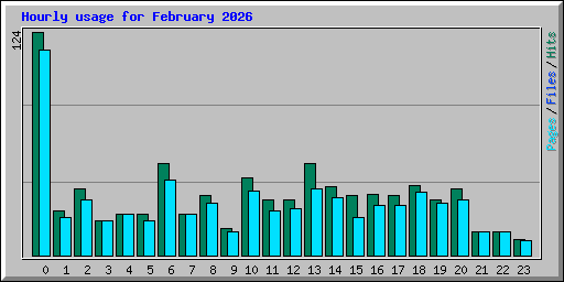Hourly usage for February 2026